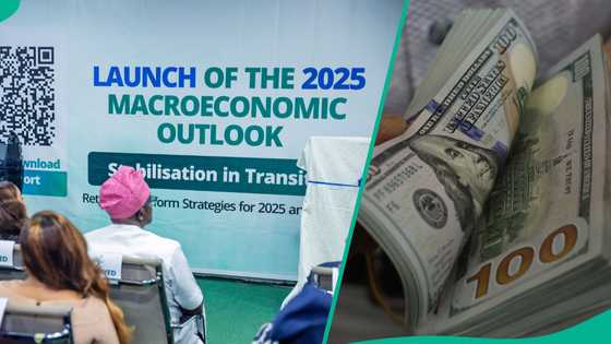 Economists predict N1,300/$ naira to dollar exchange rate in 2025, give reasons