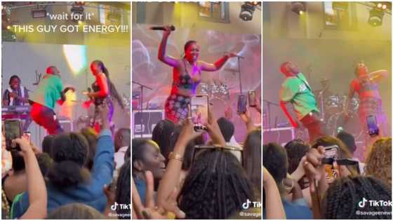 "He knows boundaries": Moment male fan joined Tiwa Savage on stage, danced with her respectfully in video