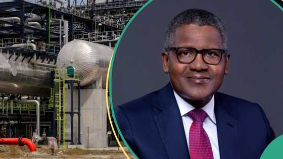 Dangote considers ending petroleum product export to Europe after first jet fuel delivery