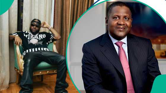 Davido slammed over alleged plans involving Dangote’s company, singer reacts