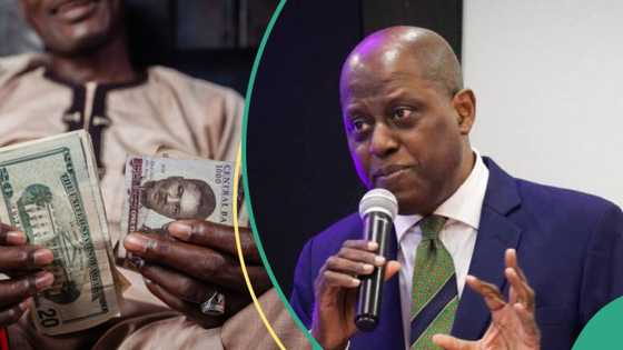 “No more N990/$”: Naira fall continues against US dollar at official market, worse in black markets