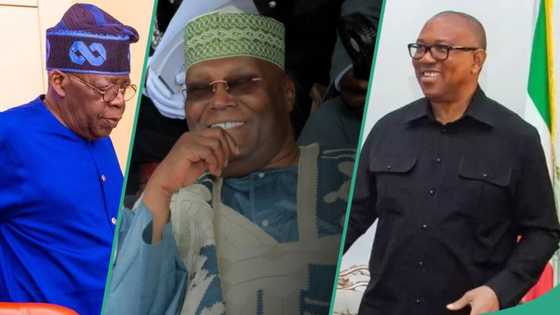 Obi/Atiku vs Tinubu: “This court case is over”, cleric releases prophecy on 2023 election