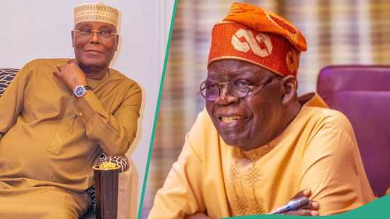 Tinubu bought Atiku's $100m INTEL shares? Presidency opens up