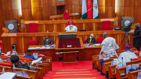 Senate investigates FG's agency over sale of N31m SUVs for N1.5m