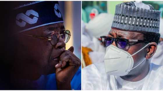 2023 presidency: 5 things Jibrin's defection from APC will cost Tinubu