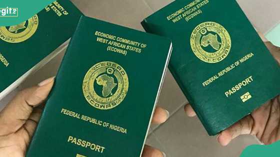 Minimum wage: LP chieftain speaks on link between int'l passport and salary in Nigeria