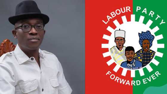 Breaking: Labour Party suspends House of Reps member, gives reason