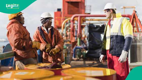40 Nigerian oil companies face licence expiry risk in June 2025 without renewal