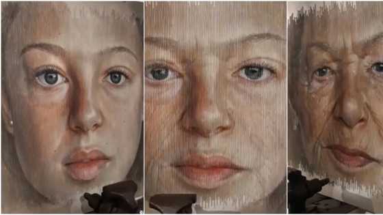 Incredible: Artist makes artwork that transforms from a beautiful girl to an old woman, many are wowed