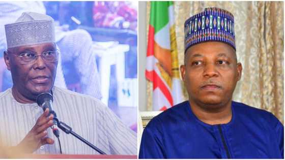 Atiku Ya Fada Mana Ayyuka 8 Da Ya Yiwa Arewa Lokacin Yana Mulki: Kashim Shettima