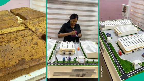 Lady bakes cake that looks like estate for T.Y Danjuma’s birthday, video shows process