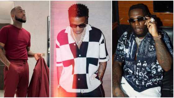 Wizkid comes 2nd, Burna 3rd in list of celebs with highest IG, Twitter fans, Davido tops with 33.5m followers