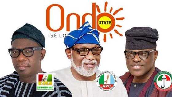 Da duminsa: Akeredolu ya lallasa Jegede, Ajayi da sauransu da tazarar kuri'u 53,380 a kananan hukumomi 14