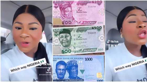 "As things are the rich are also crying": Destiny Etiko laments about fuel and new money wahala, video trends