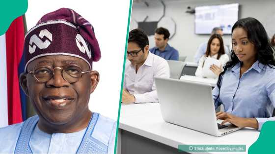 Good news for Student Entrepreneurs as FG partners BoI to launch N50 million fund, details emerge