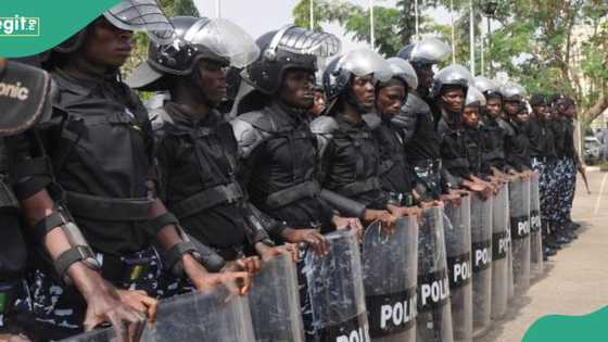 Just In: Outrage as ritualist arrested with fresh human head in Ibadan