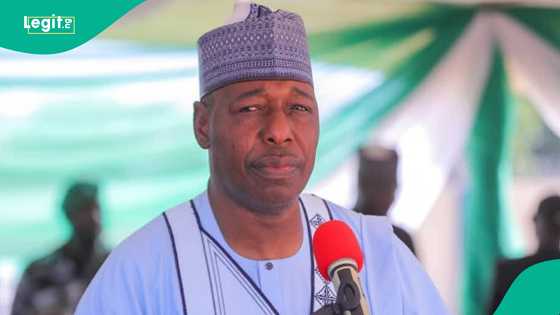 An zo wajen: Gwamna Zulum ya tsage gaskiya kan wanda zai gaje shi a 2027