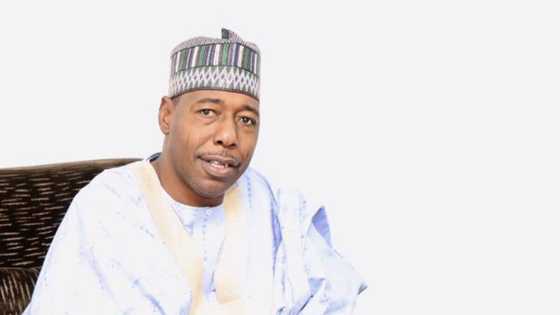 Tonon asiri: Zan fallasa sunayen wadanda sukayi rub da ciki da N2bn na tallafi - Gwamnan jihar Borno