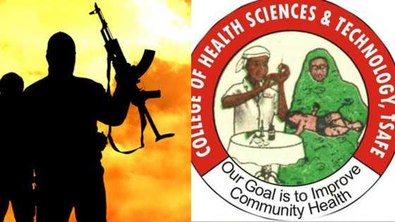 Zamfara: 'Yan bindiga sun sace dalibai 5 na kwalejin lafiya da ke Tsafe