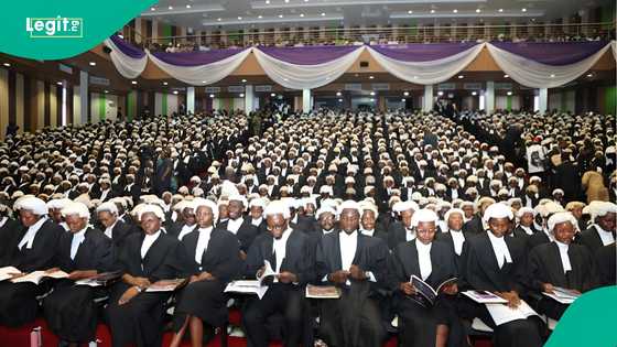 Full list: Nigerian Law School names 117 universities approved to offer law in Nigeria