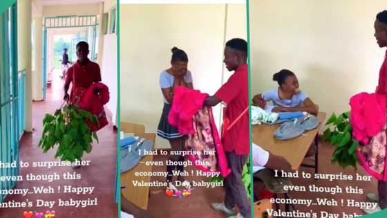 "Understanding girlfriend": Young boy gives his bae leaves and sweater for Val's Day, she reacts