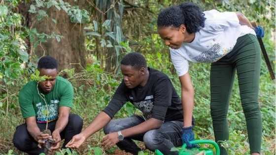 LEAP Africa and Dow Engage Over 5000 Youth to Transform Communities across 34 African Countries