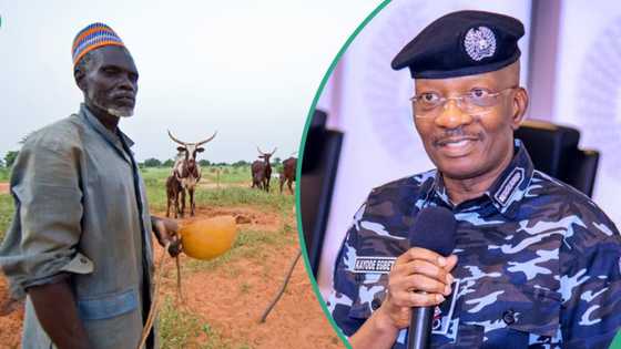 Panic as police allegedly ‘brutalise journalist for taking photos of cattle’ in top northern state