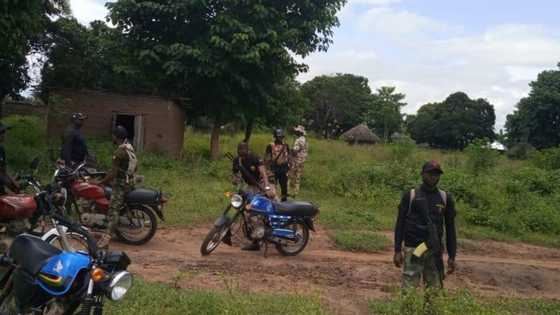 Insecurity: Bandits suffer heavy casualties as Niger state govt reviews security architecture