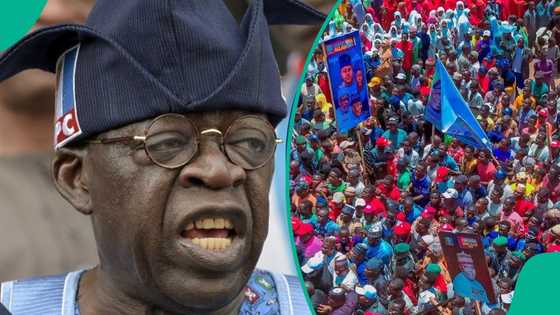 Wasu matasa da aka sa a kwamitin yakin zabe sun wulakanta Tinubu a gaban kowa