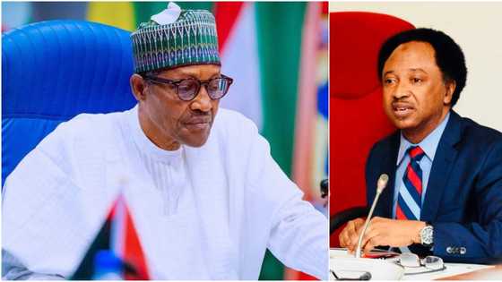 “Well Done Census People”: Ex-lawmaker Shehu Sani Reacts as Buhari’s Govt Budgets N400bn for National Census