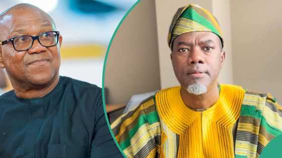 “Peter Obi will never be president”: Reno Omokri taunts Obidients after Tinubu’s victory at tribunal