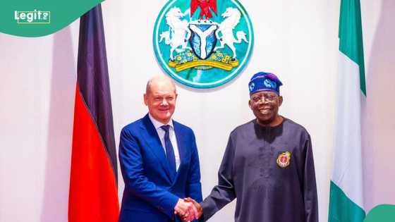 How natural gas, hydrogen economy will favour Tinubu’s govt, Nigerian expert gives insight