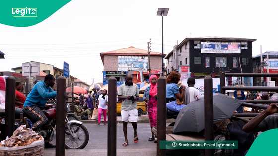 Of Caesars and the citizens who made them: When Nigerians’ exhaustion, distraction empower leaders