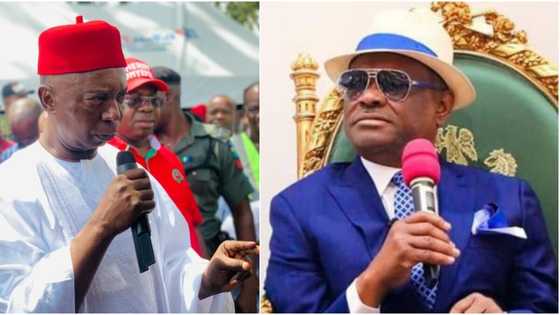 “Remove Wike now”, Regina Daniels husband tells PDP, gives strong reason