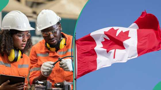 Canada invites skilled Nigerians to apply for jobs, lists professionals in high demand