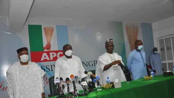APC records massive win in Lagos state council elections