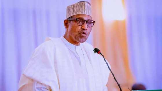 'Yan Ta'addan Boko Haram Kasurguman 'Yan Damfara ne, Shugaba Buhari