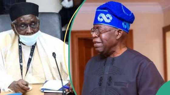 "Yana da kyau amma...": Dattawan Arewa sun bayyana matsayarsu kan harajin CBN