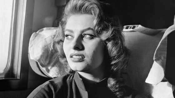 La vie de Sophia Loren aujourd' hui : l'actrice après la prison