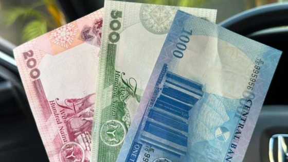 Naira Sustains Appreciation at Official Forex Market as Nigeria’s Demand for Dollars Falls