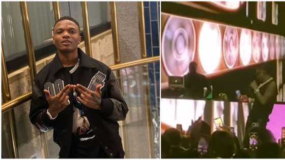 Wizkid collects phone from fan at concert, records himself before returning it, adorable video goes viral