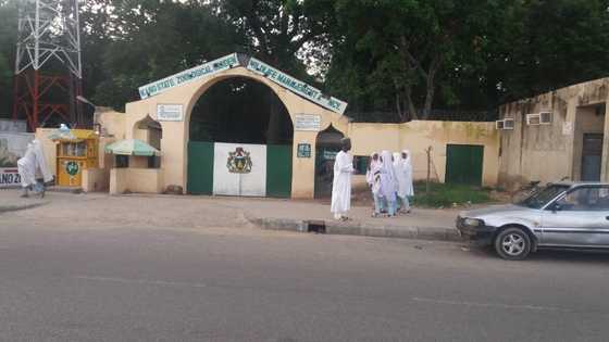 Ganduje ya bada umarnin dauke gidan Zoo daga cikin birni, ya fadi dalili