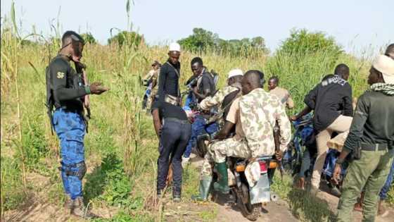 Nasara: Sojoji sun tarfa 'yan ta'addan Boko Haram, sun hallaka da yawa a jihar Borno