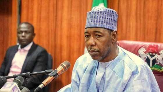 Zan taimake ku: Gwamna Zulum ya yiwa wadanda shagunansu suka kone a Maiduguri alkawarin N1bn