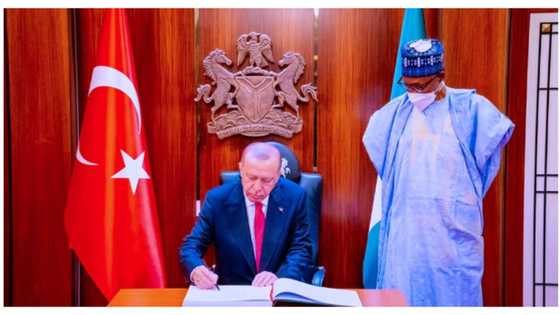 Ganawar Buhari da shugaban Turkiyya: Abubuwa 5 da Najeriya za ta mora a ganawar