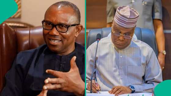 Atiku speaks on whether he will support Peter Obi if he emerges as consensus candidate