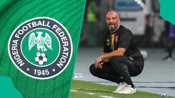 Nigeria FA boss slams NFF for appointing Eric Chelle as new Super Eagles coach
