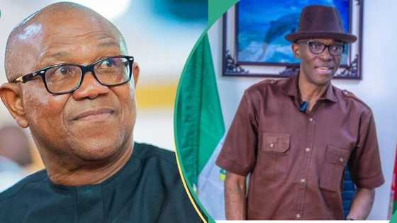 LP crisis deepens: Peter Obi finally responds to Abure's move to strip him of 2027 ticket