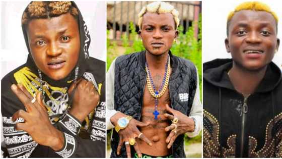 This Portable fine before o: Nigerians react as old photos of Zazu crooner looking chubby surfaces online