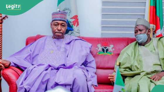 Jam'iyyar PDP ta girgiza bayan APC ta lamushe zabukan ciyamomi 27 da kansiloli 312 a jihar Borno